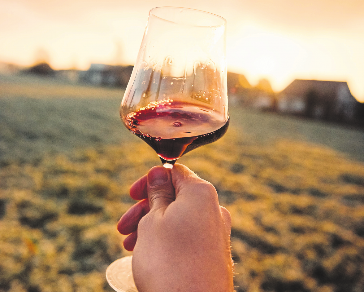 Wein ist seit jeher die saftige Verkörperung eines bestimmten Herkunftsgebietes. Fotos: Unsplash