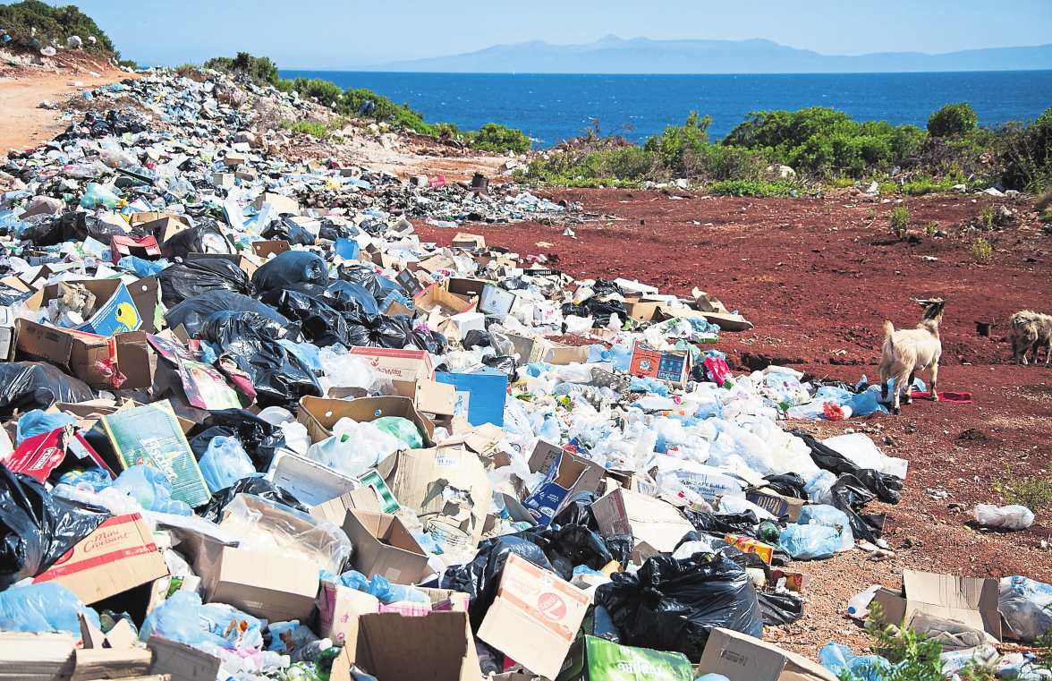 Le plastique, entre autres, est un véritable ennemi de l'écosystème.