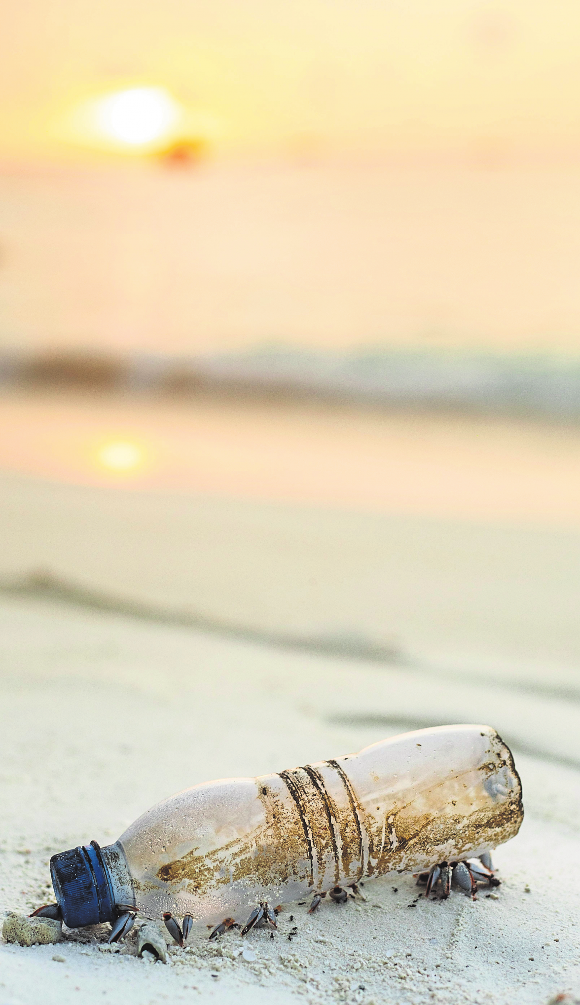 Une petite bouteille à la mer, loin d'être inoffensive...