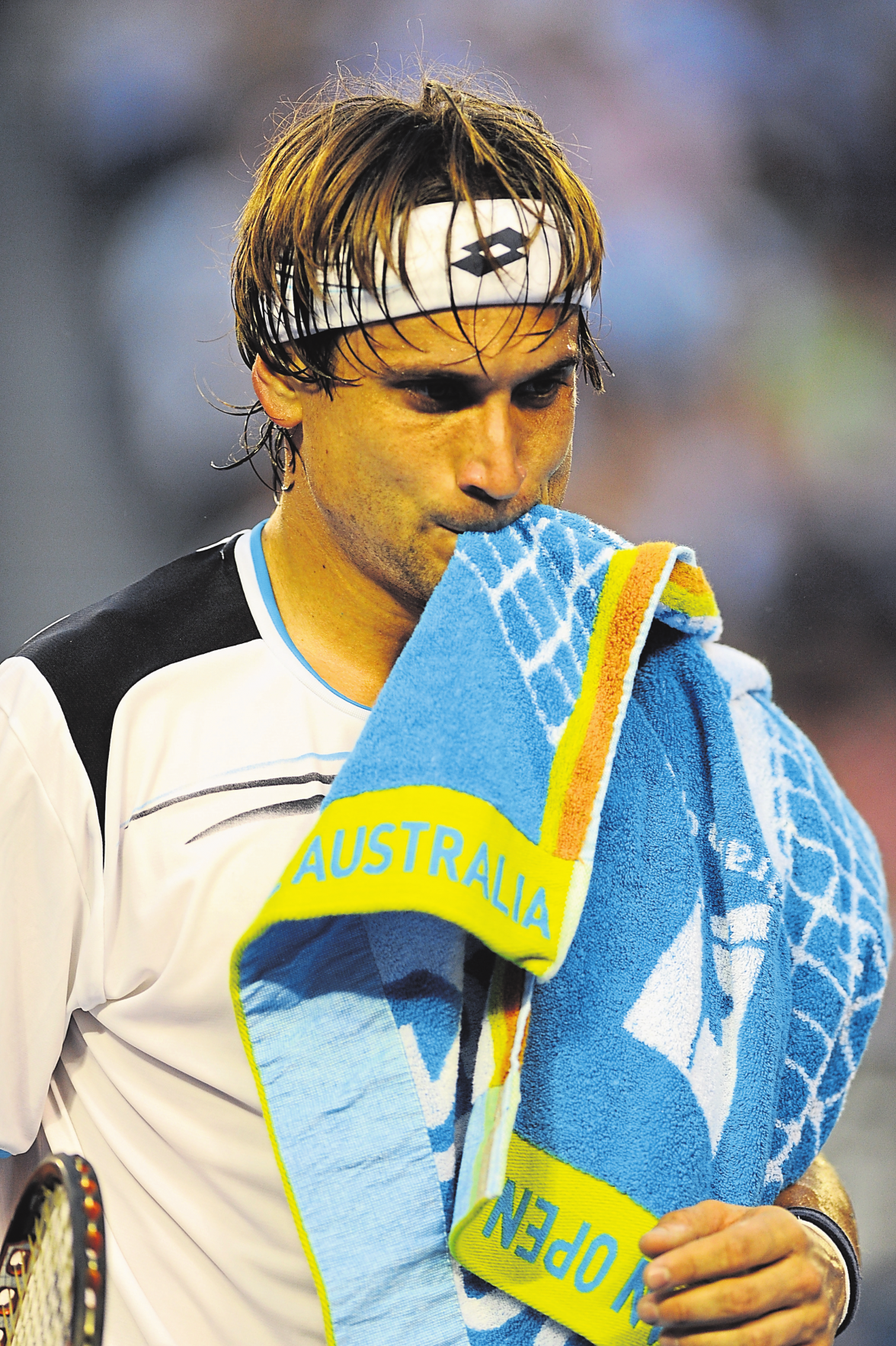 David Ferrer