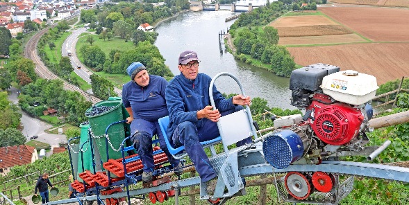 Jochen Springer und Jasmin Mannherz chauffierten die Trauben im Gundelsheimer Himmelreich mit dem Bähnle zu den Zubern.