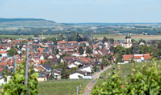 Romantisch eingebettet zwischen Weinbergen liegt Flein am Rande des Schozachtals. Foto: Andreas Veigel