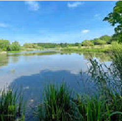 Das Naturschutzgebiet „Im See“ bei Krautheim-Neunstetten.