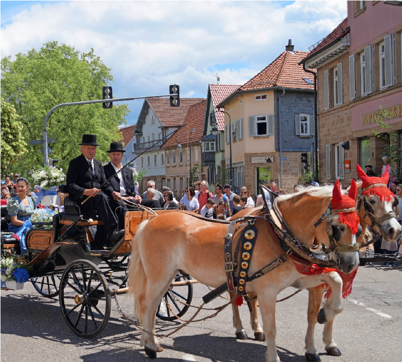 In einem der vorderen Wagen fährt die Maientagskönigin, dahinter ihre Prinzessinnen. Die meisten Wagen werden wochenlang gebaut und fantasievoll gestaltet.