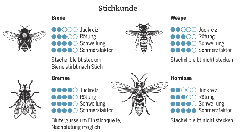 HSt-Grafik, Quelle: Initiative Insektengift, Illustration: Marina/stock.adobe.com