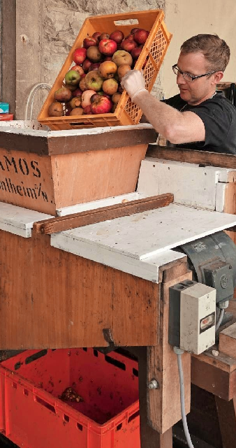 Der Chef packt selbst mit an: 100 Kilogramm Äpfel ergeben 40 Liter Cider. Fotos: Juergen Koch