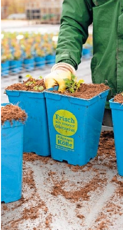 Auch Erden und Dünger gibt es bei Pflanzen-Kölle in Bio-Qualität.
