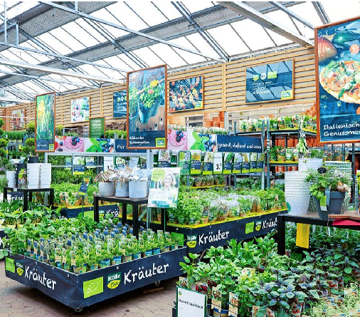 Bei Pflanzen-Kölle gibt es alles für den Kräuter- und Gemüsegarten, aber auch Pflanzen, die für den Erhalt der Artenvielfalt sorgen.