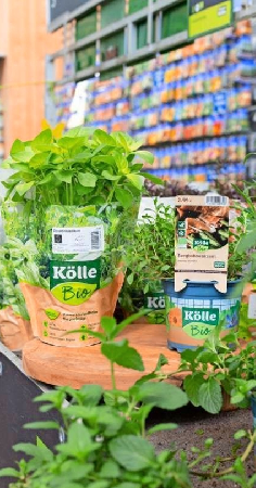 Bio-Kräuter werden in der eigenen Gärtnerei kultiviert.