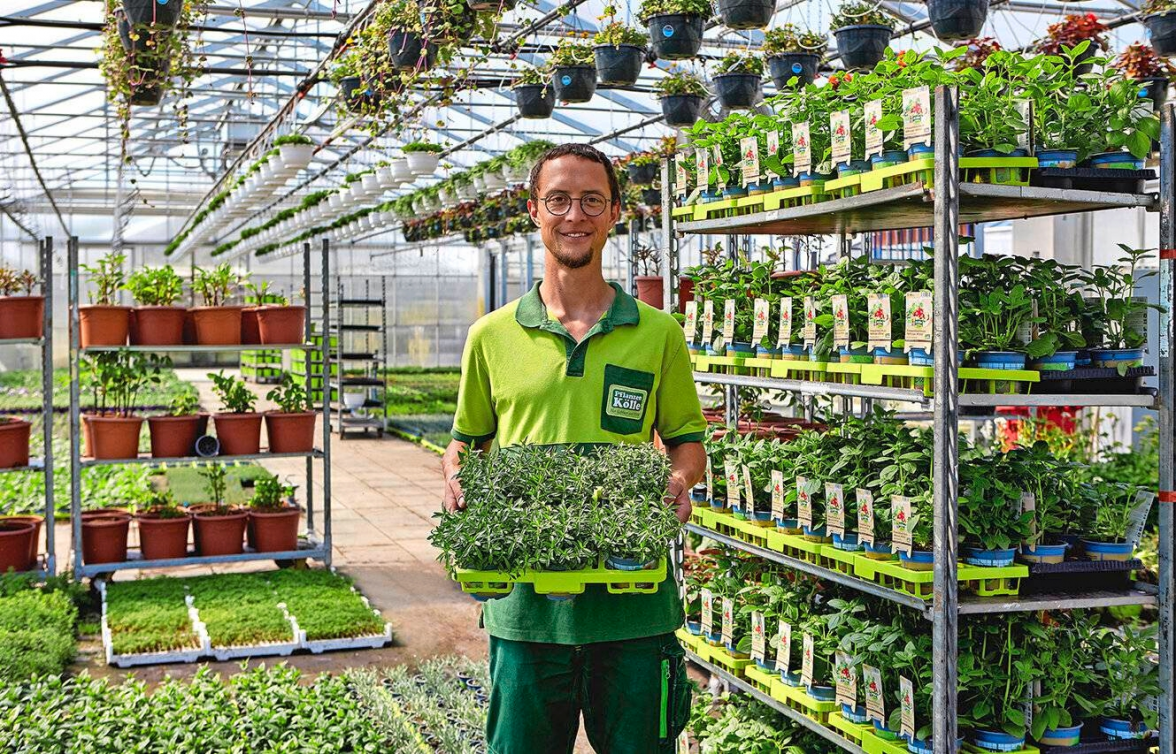 Seit 2008 kultiviert Pflanzen-Kölle bio-zertifizierte Gartenkräuter. Diese kommen umweltfreundlich verpackt und auf Mehrweg-Trays direkt von der eigenen Gärtnerei zum Kunden in die Gartencenter. Fotos: Pflanzen-Kölle