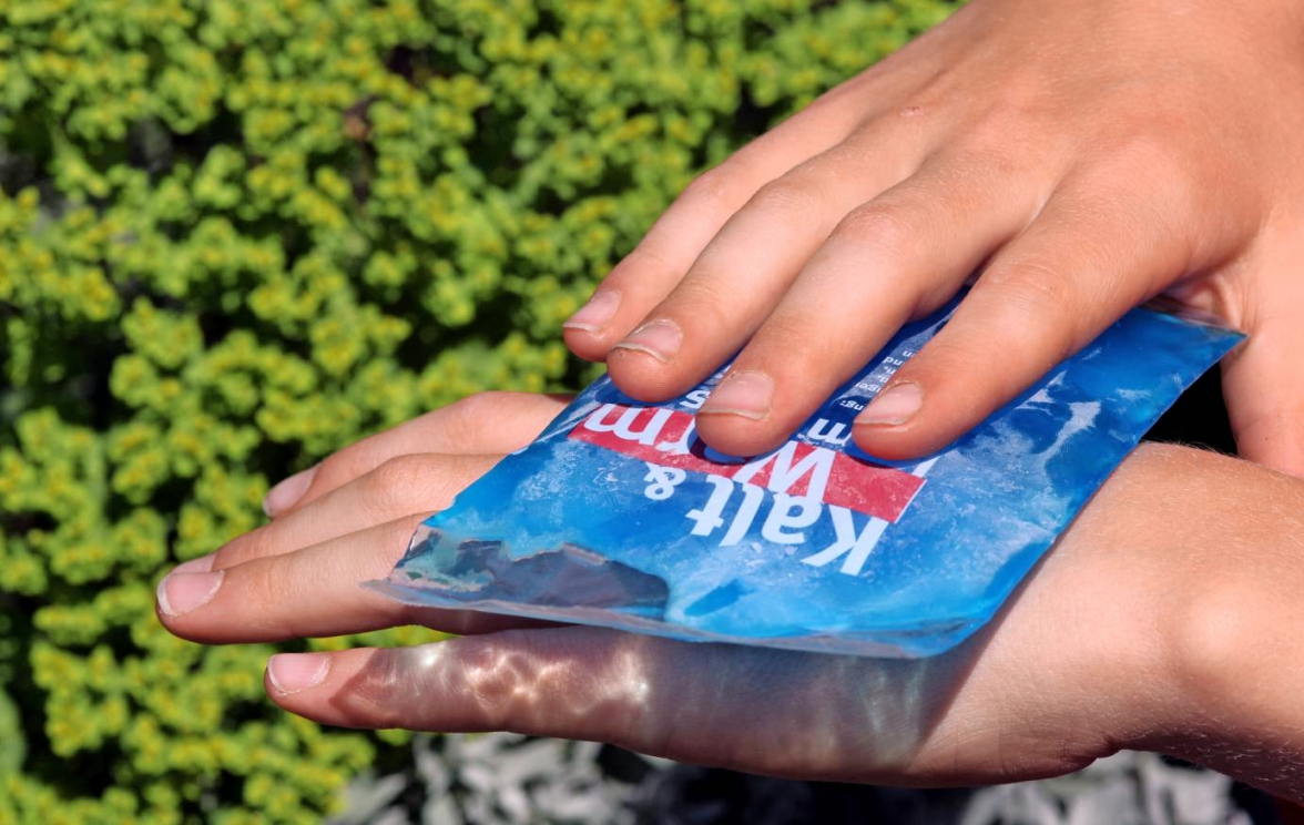 Zur Behandlung von Stichen eignen sich Essig oder der Saft einer Zwiebel. Außerdem sollte man die Stelle kühlen. Fotos: Joost, Daniel Prudek, Marina Lohrbach/stock.adobe.com