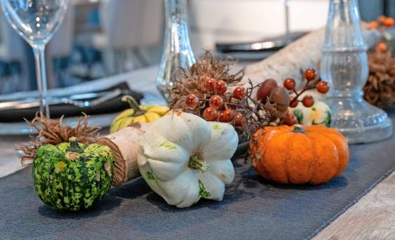 Im Küchenstudio Röck sorgt die Herbst-Deko für eine schöne Atmosphäre.