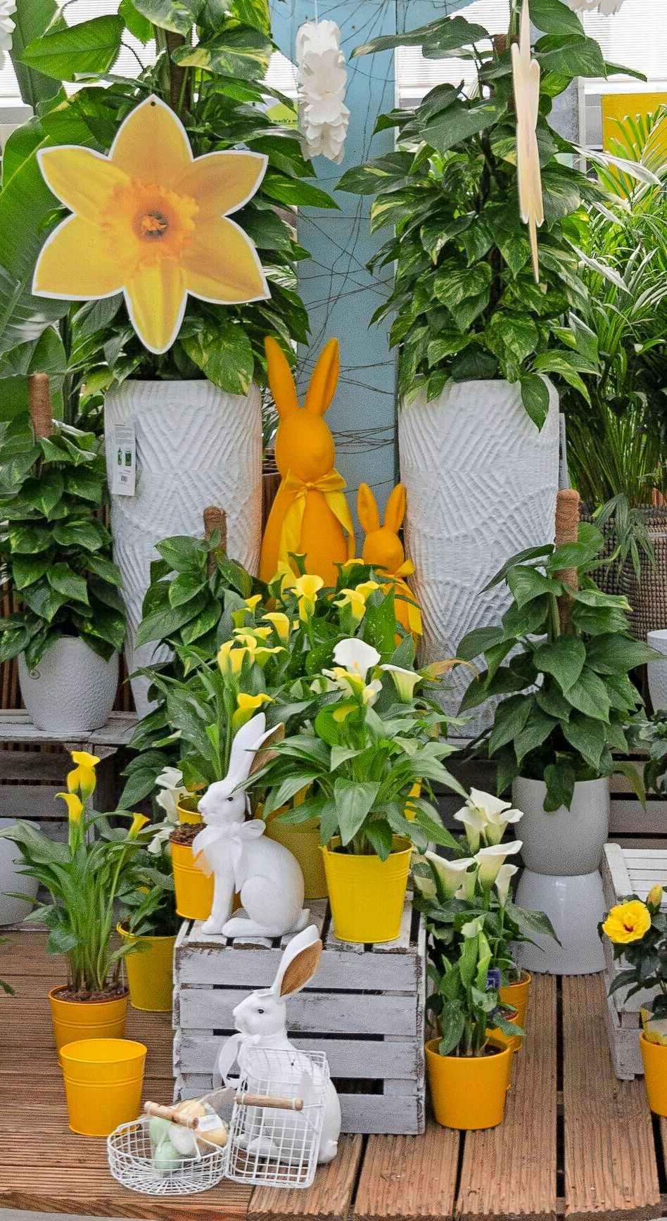 Bei Pflanzen-Kölle in Heilbronn hat der Frühling Einzug gehaltenund für Ostern gibt es viele tolle Deko-Ideen.