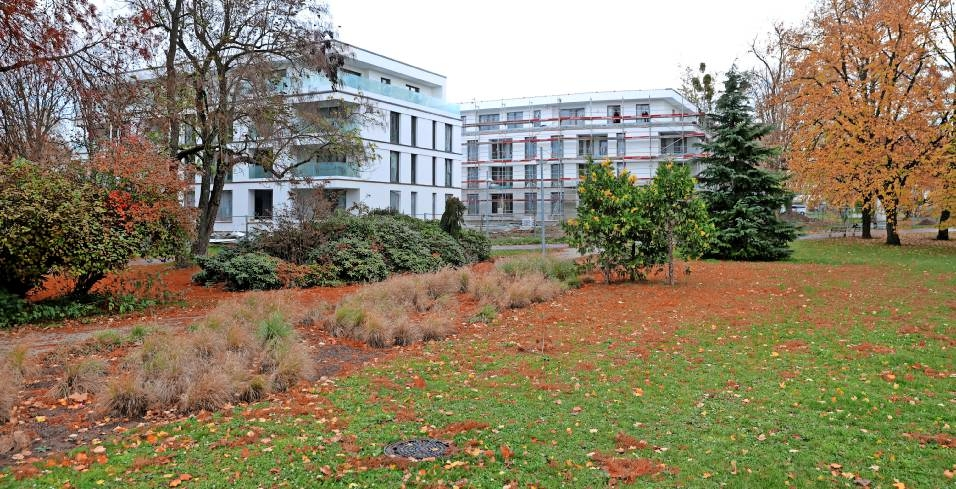Der Neckarsulmer Stadtpark wird weiter aufgewertet. Der nördliche Teil wird um weitere öffentliche Grünflächen erweitert. Foto: Archiv/Seidel