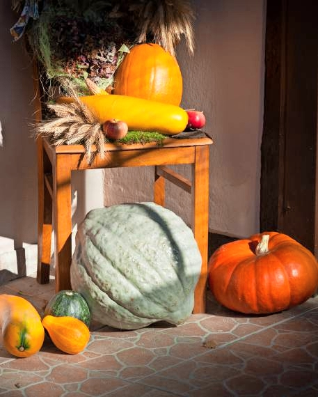 Herbstzeit ist Dekozeit. Dafür eignen sich bunte Kürbisse gut.