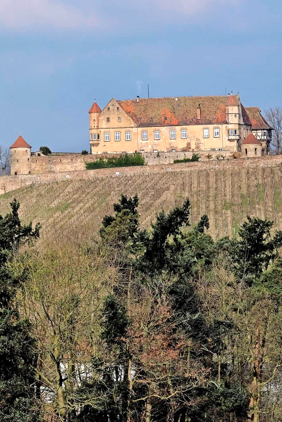 Hoch über Untergruppenbach thront die Burg Stettenfels, die auf eine bewegte Geschichte zurückblickt. Fotos: Archiv/Mugler